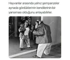 Jiwon Adli Kullanicinin Really Panosundaki Pin En Komik Fotograflar Bilgi Karti Kitap Kenari