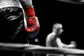 Seafood such as shrimps that do not have fins and scales so they are not halal. The Rulings Pertinent To Boxing Professional Cage Fighting The Deen Show
