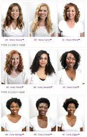 Hair Types Hair Typing Systems And You Aunt Lucys Folk Sense