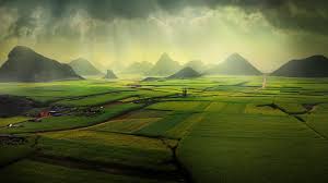 Luoping China The Canola Fields Luoping Yunnan China Windows 10 Bike Tour Laos Laos Vietnam