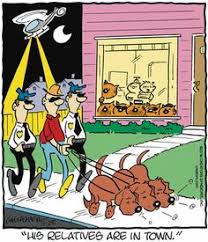 10 Health Cliff Ideas Heathcliff Comic Strips Cartoonist The movie online for free in hd. 10 health cliff ideas heathcliff