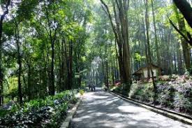 Maybe you would like to learn more about one of these? Ini 7 Lokasi Wisata Alam Terbaik Yang Ada Di Tangsel Metro Tangsel Page 5