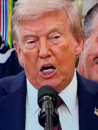 Dana Wickens! (@danawickens) • Threads, Say more