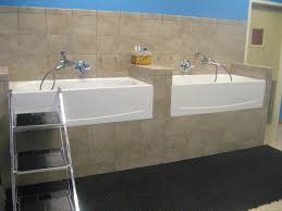 Dog Spa Design Large Waist High Tubs Are Great For The Saftey Of Both Dog And Groomer Dog Grooming Tubs Pet Grooming Tub Dog Grooming Salons