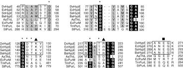 Crystal Structures Of Hydrogenase Maturation Protein Hype In The Apo And Atp Bound Forms Sciencedirect