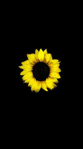 Aesthetic Black And Yellow Flowers Pin By Cinzia On Sfondi In 2020 Iphone Wallpaper Tumblr Aesthetic Sunflower Iphone Wallpaper Sunflower Wallpaper