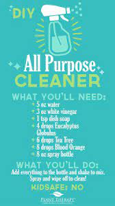 Plant Therapy Essentials All Purpose Cleaner Diy Plant Therapy Essential Oils Recipes Diy All Purpose Cleaner Essential Oils Cleaning