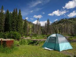 Check spelling or type a new query. Mammoth Campground Yellowstone Yellowstone National Park Recreation Gov