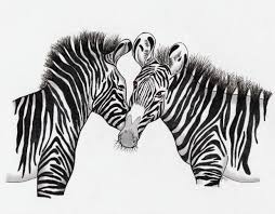 This site exists purely to share our favorite drawings in the best ios and android game there is! How To Draw A Grevy S Zebra Tutorial