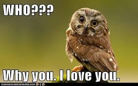Animal Comedy I Love You Animal Comedy Animal Comedy Funny Animals Animal Gifs Cheezburger