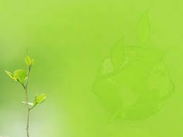 Light green powerpoint background : Green 04 Powerpoint Template