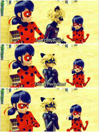 Miraculousladybug Quotes Ladynoir Ladybug Chatnoir Miraculous Ladybug Memes Miraculous Ladybug And Cat Noir Miraclous Ladybug