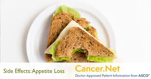 Stomach pain, also known as abdominal pain, is caused by a variety of conditions most of whom the location of the pain is a of key importance. Appetite Loss Cancer Net