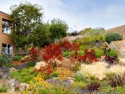 We did not find results for: 5 Xeriscaping Myths Debunked 5280