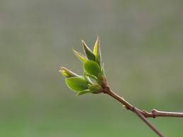 Pin On Photography