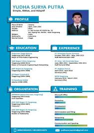 Bikin cv kamu sekreatif mungkin! 25 Contoh Cv Curriculum Vitae Lamaran Kerja Yang Menarik Kreatif