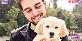 Orders placed after 3pm will be fulfilled the next day. Carry My Pet Relocate Pet Domestically And Internationally
