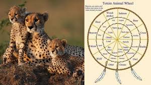 The bear is the animal that is most similar to leo women. All Zodiac Signs Spirit Animals