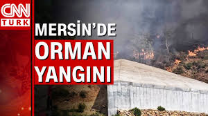 Mersin'de pembecik mahallesi'ndeki kızılçam ormanında henüz belirlenemeyen nedenle yangın çıktı. Korkunc Orman Yanginina 11 Helikopter Ve 2 Yangin Sondurme Ucagi Mudahale Ediyor Youtube