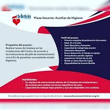 Auxiliar De Higiene Santa Rosa Copan Pie Chart Chart