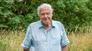 Legacy of stories from david attenborough & a life on our planet team. A Message From Sir David Attenborough A Perfect Planet Bbc Earth Youtube