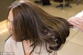 Image result for an indian  lady with grey streaks