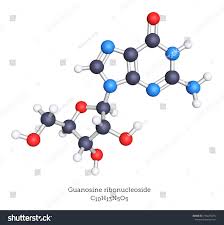 Guanosine Is A Nucleoside Of Rna Composed Of Guanine As The Nucleobase And Ribose As The Sugar The Molecule Is S Ad In 2020 Triangle Template Modern Mosaics Mosaic
