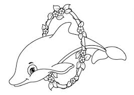 Immagini Di Delfini 62 Disegni Da Stampare E Colorare A Tutto Donna
