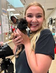 Monique Dewar's Instagram, Twitter & Facebook