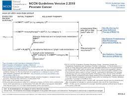 Scher hi, halabi s, tannock i, et al. Http Www Pcsanm Org Wp Content Uploads 2018 05 Nccn Guidelines Prostate May 18 Pdf