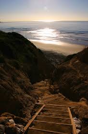 It's stretches from torrey pines state beach below the famous torrey pines golf course at the north end all the way to scripps. Nudebeaches