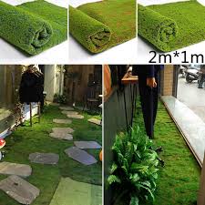 Magically transform them into playful toadstools with just a wave of a paint brush. Buy Artificial Moss Fake Green Plants Grass For Shop Patio Wall Decor Diy 1m 2m At Affordable Prices Free Shipping Real Reviews With Photos Joom