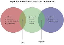 Tigers And Bison Venn Diagram Make An Infographic Herbivore And Carnivore Venn Diagram