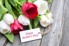 Writing a card message, facebook post, or sms to your mom? What Flower Type Is Your Mom Petal Talk Mother S Day Activities Happy Mothers Day Mother S Day