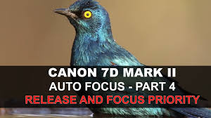 Canon 7d Mark Ii Auto Focus Part 4 5 Release And Focus Priority Marks Canon Priorities