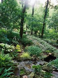 Fruhlingsideen Dafur Wie Man Einen Schatten Garten Gestalten Kann Garten Gestalten Schattengarten Waldgarten