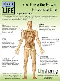 From Organ Owner To Organ Donor Feed The Data Monster Organ Donation Organ Donation Quotes Organ Donation Awareness