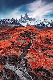 And the andes mountains along its western border with chile. Patagonia Argentina By Lukas Furlan Scenery Beautiful Landscapes Nature