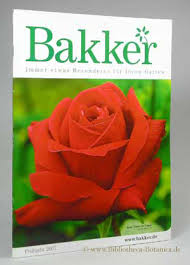 Hochbeete mit integrierten gartensitzen aus. Bakker Holland Hrsg Zvab