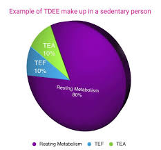 Tdee Calculator Calculate Your Total Daily Energy Expenditure