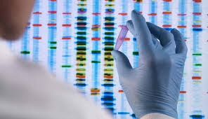 Genetic engineering, also called genetic modification or genetic manipulation, is the direct manipulation of an organism's genes using biotechnology.it is a set of technologies used to change the genetic makeup of cells, including the transfer of genes within and across species boundaries to produce improved or novel organisms.new dna is obtained by either isolating and copying the genetic. Gentechnik Ethikrat Halt Erbguteingriffe Derzeit Fur Unverantwortlich Forschung Lehre