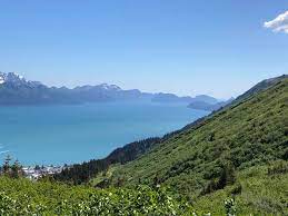 I wanted a place to stay far away from the docks due to the noise level. Seward Bear Creek Cabins Home Facebook