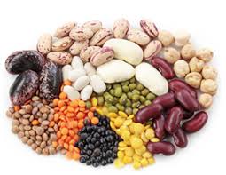 Beans can be toxic for dogs if you don't know what you are doing! Can Dogs Eat Beans Raw Dried Baked Or Canned