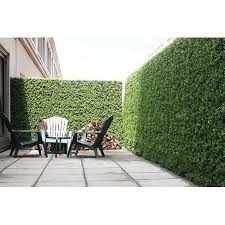 E Joy 24 Piece Artificial Topiary Hedge Plant Privacy Fence Screen Greenery Panels Suitable For Both Outdoor Or Indoor Garden Or Backyard And Home Decorations In 2021 Backyard Outdoor Privacy Artificial Plants Outdoor