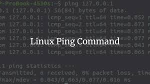 Type ping <ip address> and press enter. The Linux Ping Command Vitux