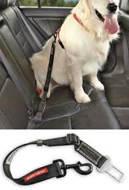 Seat Belt Leash Pet Car Restraint Seat Belt For Dogs Solutions Dog Solution Dogs Pets