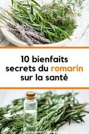 10 Bienfaits Secrets Du Romarin Sur La Sante Romarin Utilisation Bienfait Huileessentielle Sante Herbs Home Remedies Health