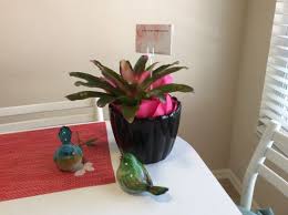 Christie's flowers & gifts is your local florist, dedicated to providing unique & spectacular flower arrangements for all occasions. Belly S Flower Party Gift 11342 Tamiami Trl E Naples Fl Florists Mapquest