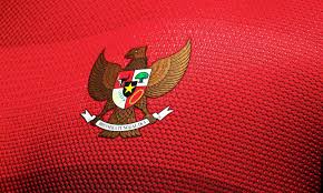 Yudha febrian menjelaskan bahwa ia tidak ada paksaan untuk mundur dari barito putera. Timnas U 19 Coret Serdy Ephy Fano Dan Mochamad Yudha Febrian Krjogja
