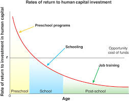 Rates Of Return To Human Capital Investment In Disadvantaged
